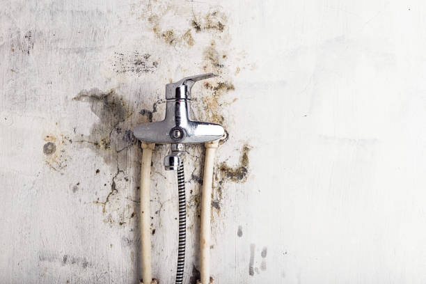 Trusted Summer Set, MO Mold Remediation Experts