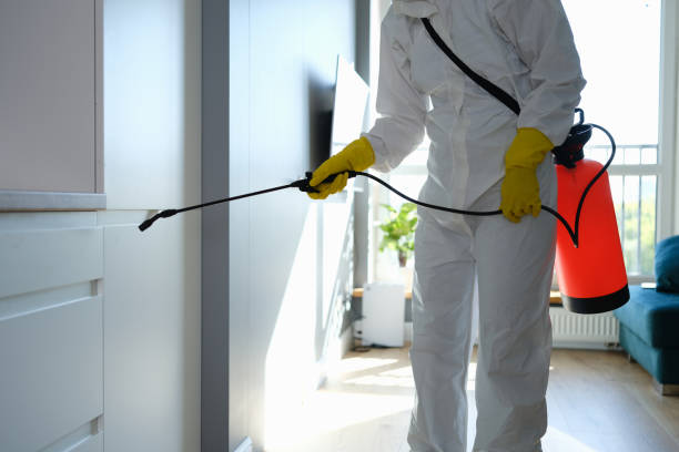 Best Residential Mold Remediation in Summer Set, MO