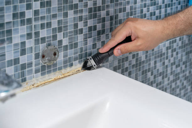 Best Insurance-Related Mold Remediation in Summer Set, MO