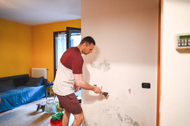 Best Basement Mold Remediation in Summer Set, MO